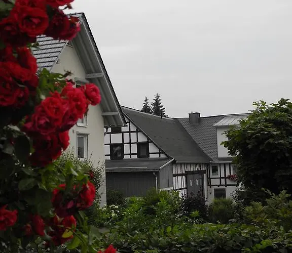 Wilkenhof Виллинген